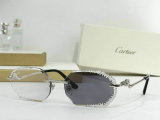 Cartier Sunglasses AAA (264)