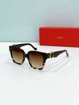 Cartier Sunglasses AAA (1579) Cartier Sunglasses AAA (1579)