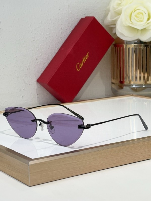 Cartier Sunglasses AAA (3006)