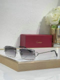 Cartier Sunglasses AAA (396)