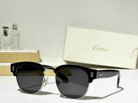 Cartier Sunglasses AAA (672)