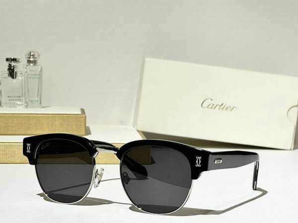 Cartier Sunglasses AAA (672)