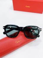 Cartier Sunglasses AAA (4074)