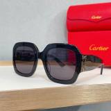 Cartier Sunglasses AAA (1953)