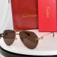 Cartier Sunglasses AAA (3921)