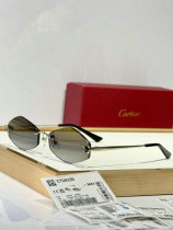 Cartier Sunglasses AAA (1034) Cartier Sunglasses AAA (1034)
