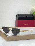 Cartier Sunglasses AAA (1264)