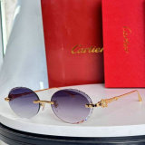Cartier Sunglasses AAA (1600)
