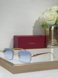 Cartier Sunglasses AAA (2540)