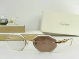 Cartier Sunglasses AAA (362)