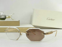 Cartier Sunglasses AAA (362) Cartier Sunglasses AAA (362)