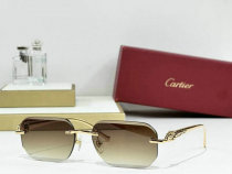 Cartier Sunglasses AAA (849) Cartier Sunglasses AAA (849)