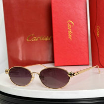 Cartier Sunglasses AAA (1449) Cartier Sunglasses AAA (1449)