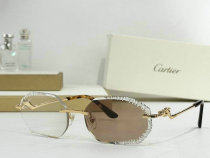 Cartier Sunglasses AAA (263) Cartier Sunglasses AAA (263)
