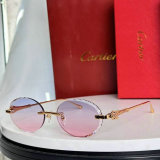 Cartier Sunglasses AAA (1598)