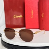 Cartier Sunglasses AAA (2877)