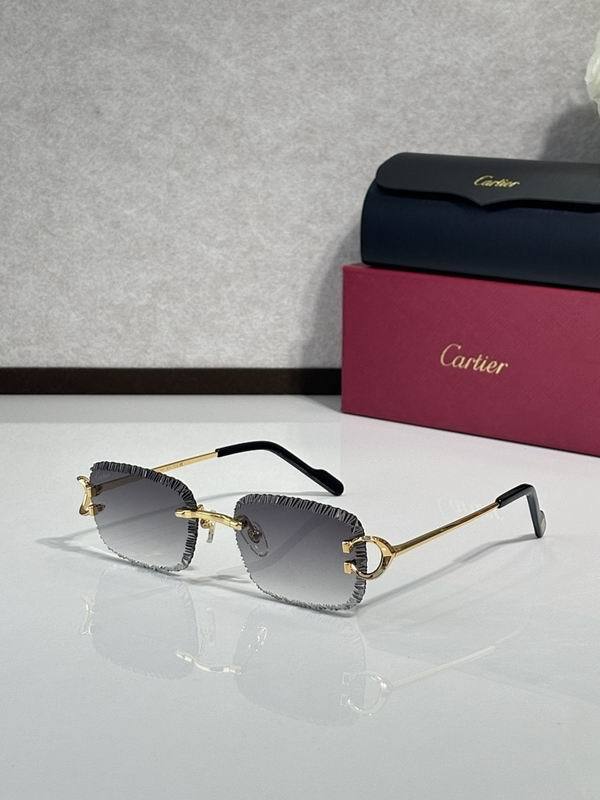 Cartier Sunglasses AAA (2027)