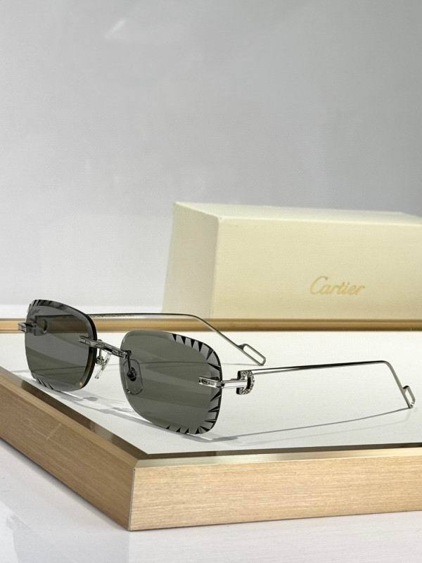 Cartier Sunglasses AAA (3874)