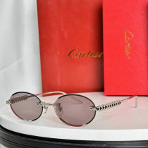Cartier Sunglasses AAA (314) Cartier Sunglasses AAA (314)