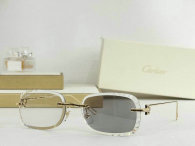 Cartier Sunglasses AAA (475)