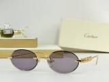 Cartier Sunglasses AAA (2331)