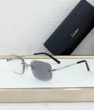 Cartier Sunglasses AAA (1917)
