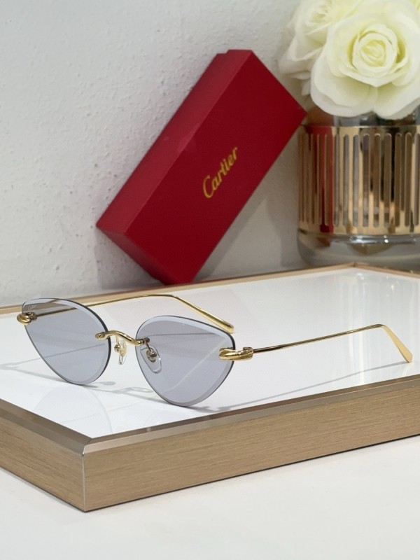 Cartier Sunglasses AAA (3008)
