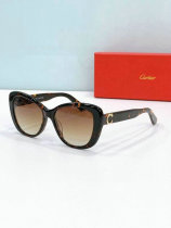 Cartier Sunglasses AAA (965) Cartier Sunglasses AAA (965)