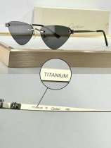 Cartier Sunglasses AAA (253) Cartier Sunglasses AAA (253)