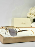 Cartier Sunglasses AAA (1499)