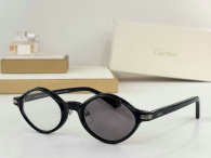 Cartier Sunglasses AAA (9)