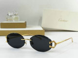 Cartier Sunglasses AAA (80)