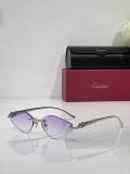 Cartier Sunglasses AAA (1956)