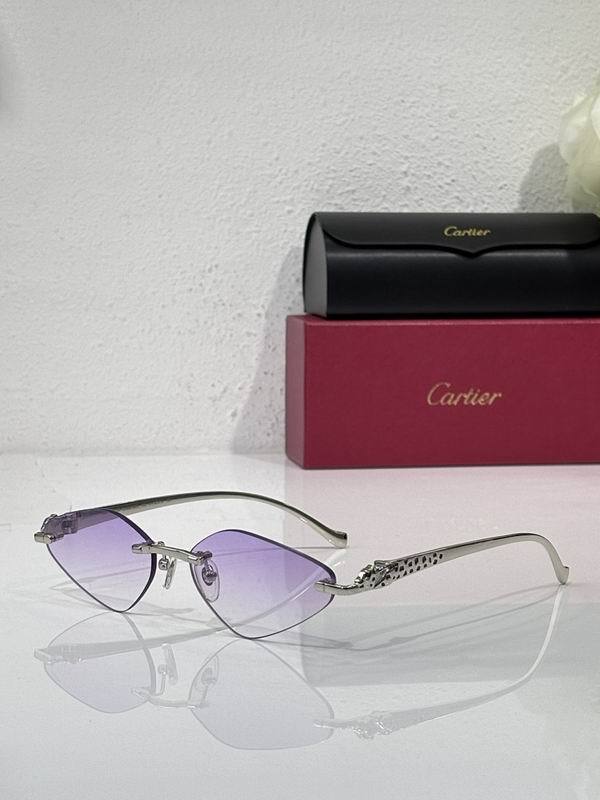 Cartier Sunglasses AAA (1956)