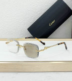 Cartier Sunglasses AAA (628)