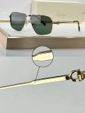 Cartier Sunglasses AAA (2466)
