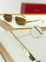 Cartier Sunglasses AAA (987) Cartier Sunglasses AAA (987)