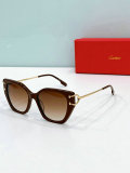 Cartier Sunglasses AAA (1545)