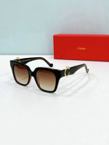 Cartier Sunglasses AAA (1576) Cartier Sunglasses AAA (1576)