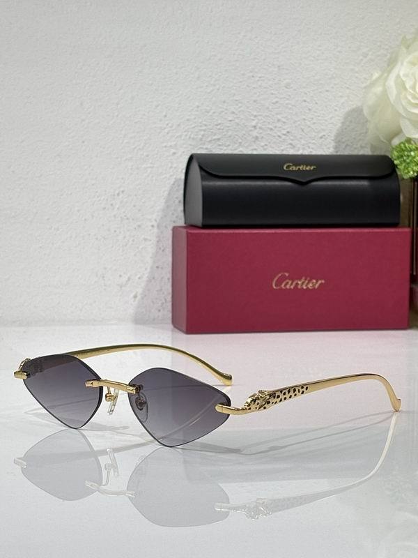 Cartier Sunglasses AAA (1954)