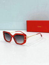 Cartier Sunglasses AAA (1343) Cartier Sunglasses AAA (1343)