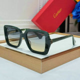 Cartier Sunglasses AAA (907)