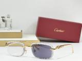 Cartier Sunglasses AAA (3499)
