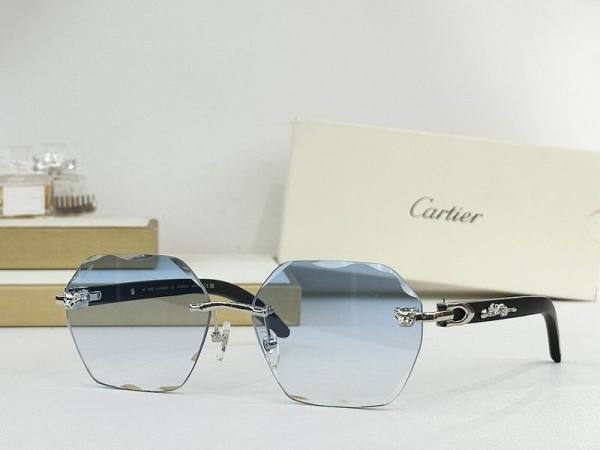 Cartier Sunglasses AAA (2195)
