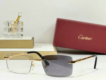 Cartier Sunglasses AAA (830) Cartier Sunglasses AAA (830)