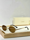 Cartier Sunglasses AAA (1044)