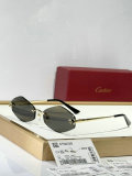 Cartier Sunglasses AAA (1037)