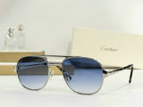 Cartier Sunglasses AAA (259)