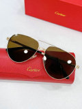 Cartier Sunglasses AAA (324)