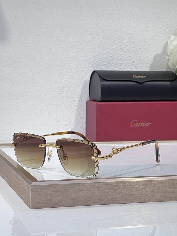 Cartier Sunglasses AAA (2489)
